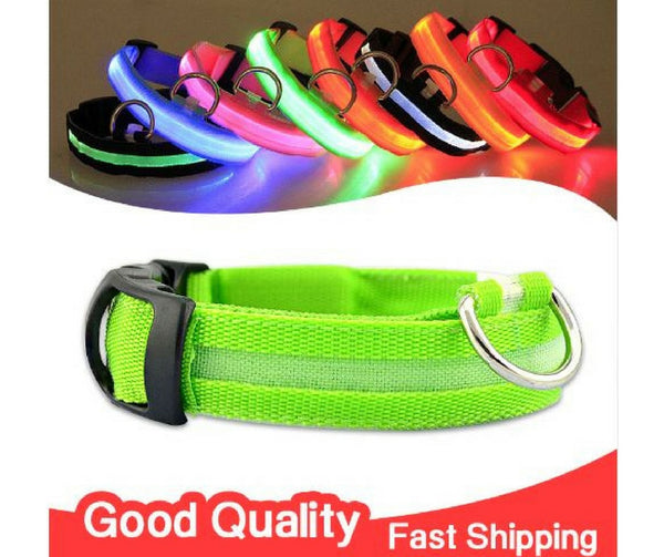 Get A BriteDoggie LED Pet Safety Collar