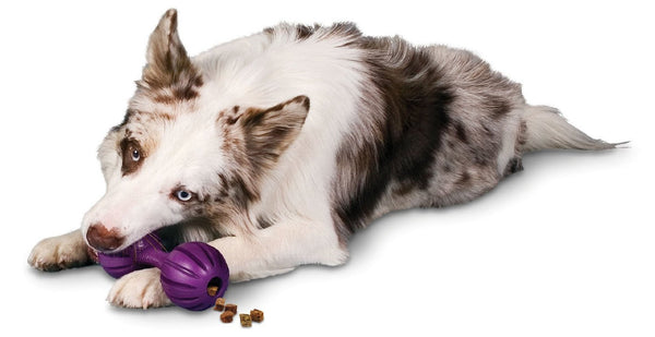 PetSafe Busy Buddy Waggle Dog Toy