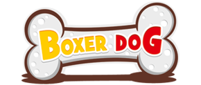 hug your boxer